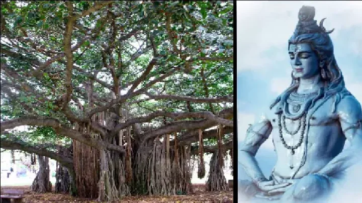 யாராலும் பார்க்க முடியாத ஆலமரம்.. திருவண்ணாமலையில் ஒரு அதிசயம்..!