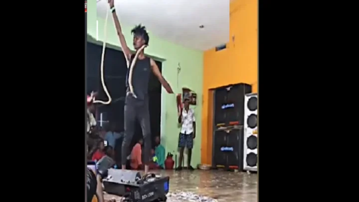 ஆடல், பாடல் நிகழ்ச்சியில் பாம்புகளை வைத்து நடனம்.. இளைஞரை கைது செய்த போலீஸ்..!