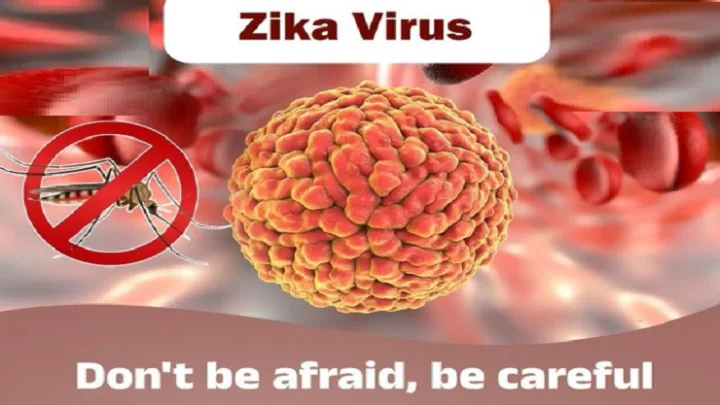 கேரளாவில் அதிகரிக்கும் ஸிகா வைரஸ் காய்ச்சல்  7 நீதிமன்ற ஊழியர்களுக்கு பாதிப்பு உறுதி..!