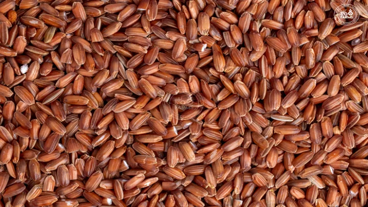 நவரா அரிசி