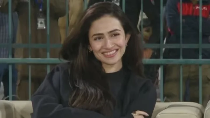 கிரிக்கெட்