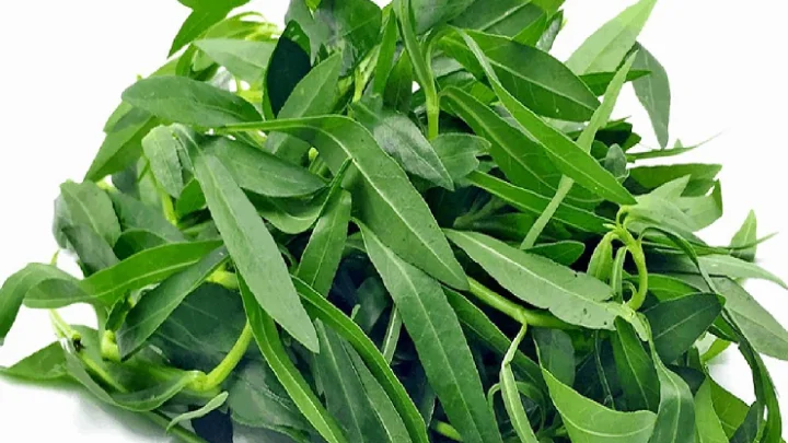 பொன்னாங்கண்ணி 