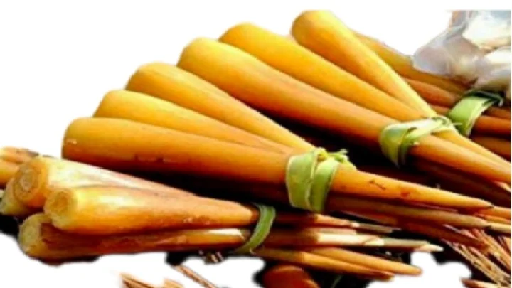 பனங்கிழங்கு