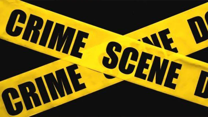 GOA crime news