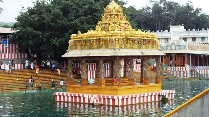 திருமலை திருப்பதியில் வராகசுவாமி திருக்கோவில் சிறப்புகள்..!