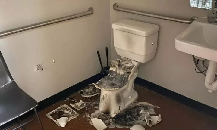 Toilet Bomb