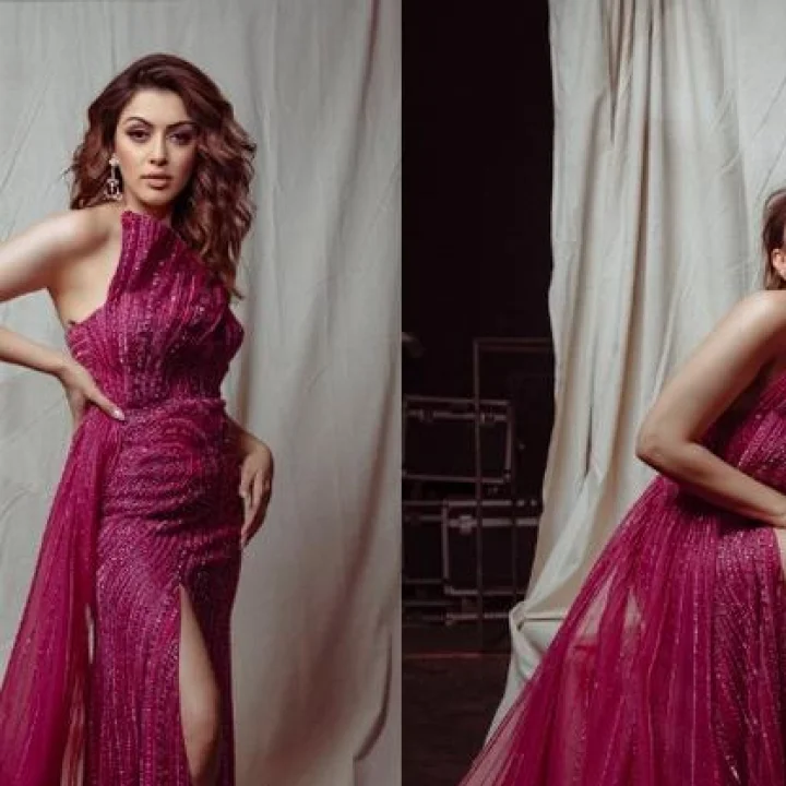 ஹன்சிகா மோத்வானியின் லேட்டஸ்ட் போட்டோ ஆல்பம்!