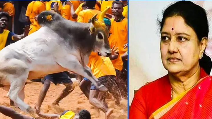 அவனியாபுரம்