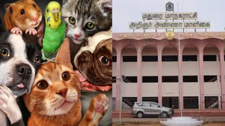 Madurai Corporation