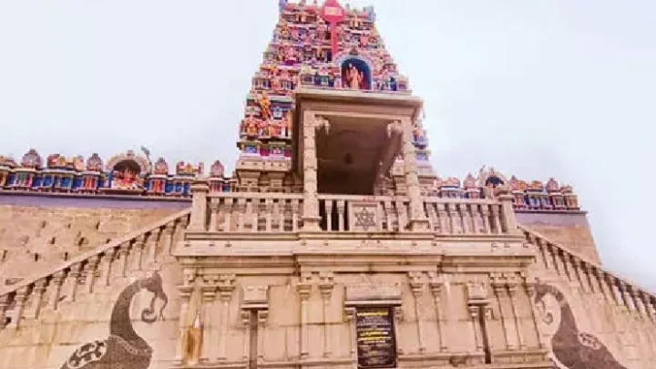 திருமலை முருகன் கோவில்