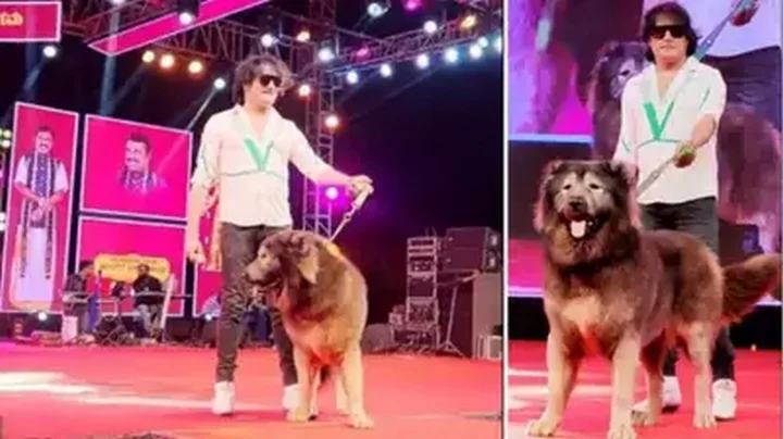 Bengaluru Costly dog
