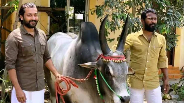 வெற்றிமாறன்