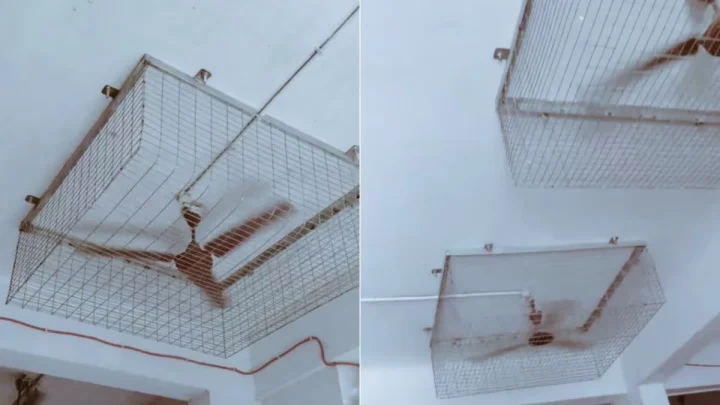 மாணவர்கள் ஃபேனில் கயிறு கட்டி தற்கொலையை தடுக்க இரும்பு வலை.. நெட்டிசன்கள் கிண்டல்..!