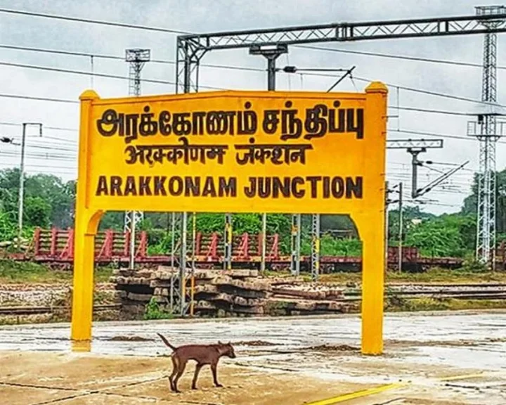 அரக்கோணம்