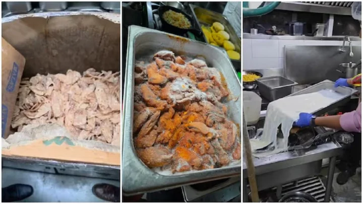 அழுகி போன இறைச்சி.. கெட்டு போன பால், தயிர்.. புகழ் பெற்ற பப்-ஐ இழுத்து மூடி சீல் வைத்த அதிகாரிகள்...