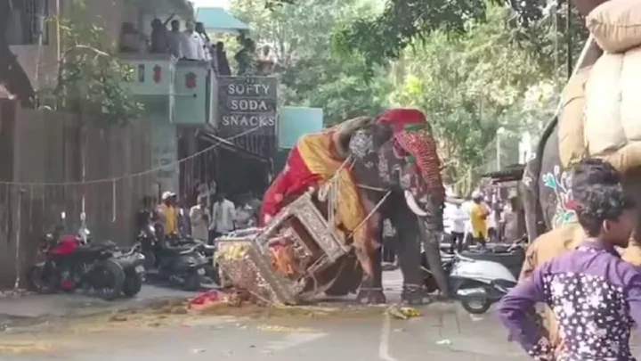 சிவமொக்கா தசரா ஊர்வலத்தில் திடீரென மிரண்ட யானை: 650 கிலோ வெள்ளி அம்பாரி கீழே விழுந்து விபத்து! சிவமொக்கா தசரா ஊர்வலத்தில் திடீரென மிரண்ட யானை: 650 கிலோ வெள்ளி அம்பாரி கீழே விழுந்து விபத்து!
