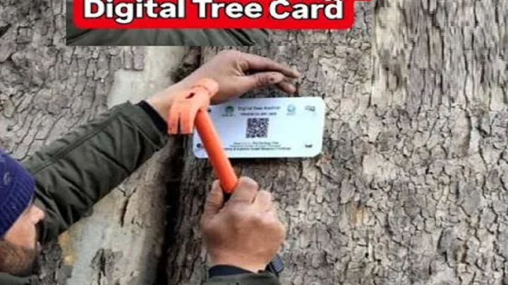 பசுமை தமிழகம் நோக்கி தமிழக அரசு: 1 கோடி மரங்களுக்கு டிஜிட்டல்   அடையாள அட்டை!