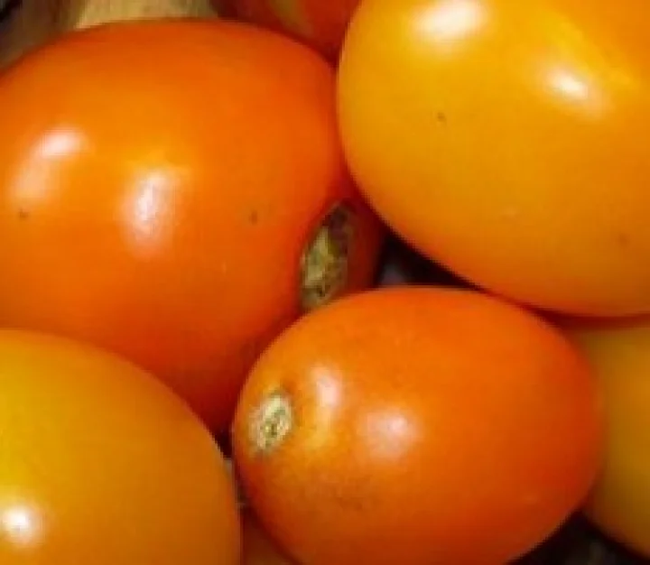 Tomato juice is a best cleaning agent