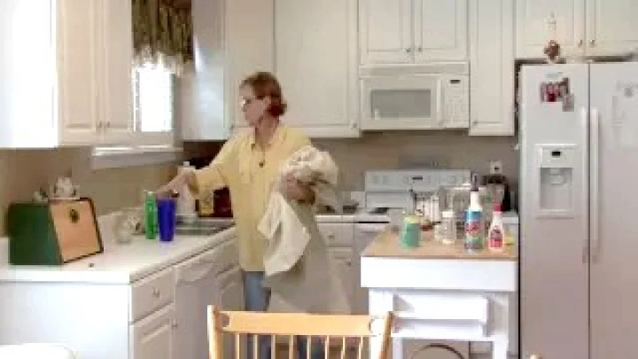 moonsoon house cleaning tips