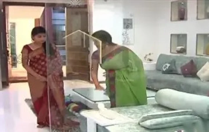 tips the perfect indoor garden