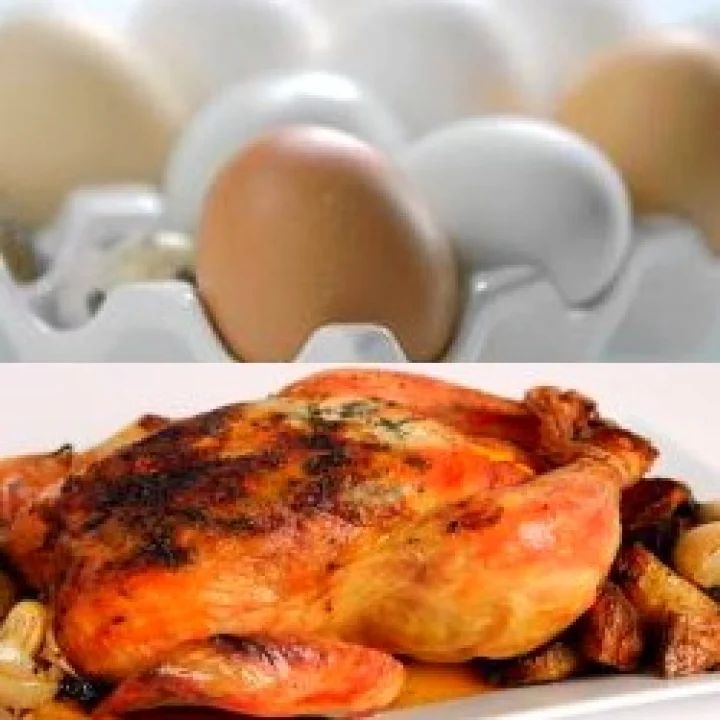 Obesity prevent tips