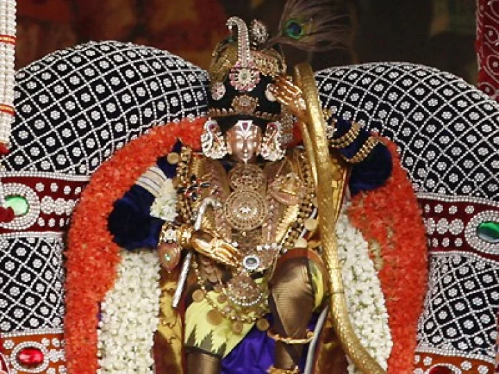 తిరుమలలో పద్మావతి పరిణయోత్సవం... మరో రెండు రోజుల పాటు..