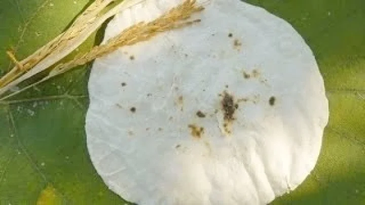 Healthy break fast rice roti