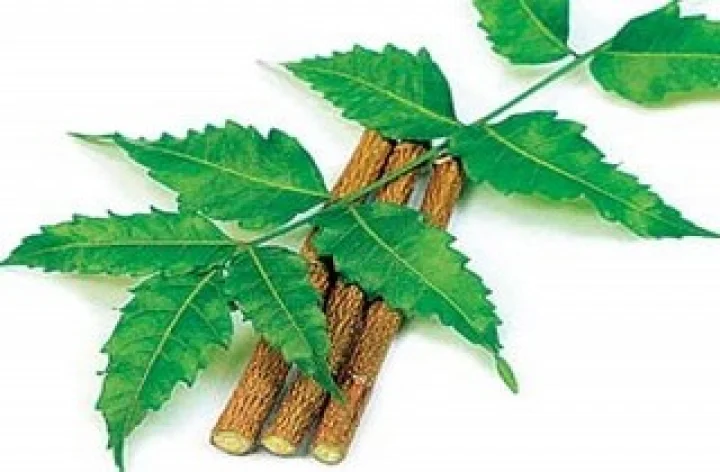 Neem Health Benefits