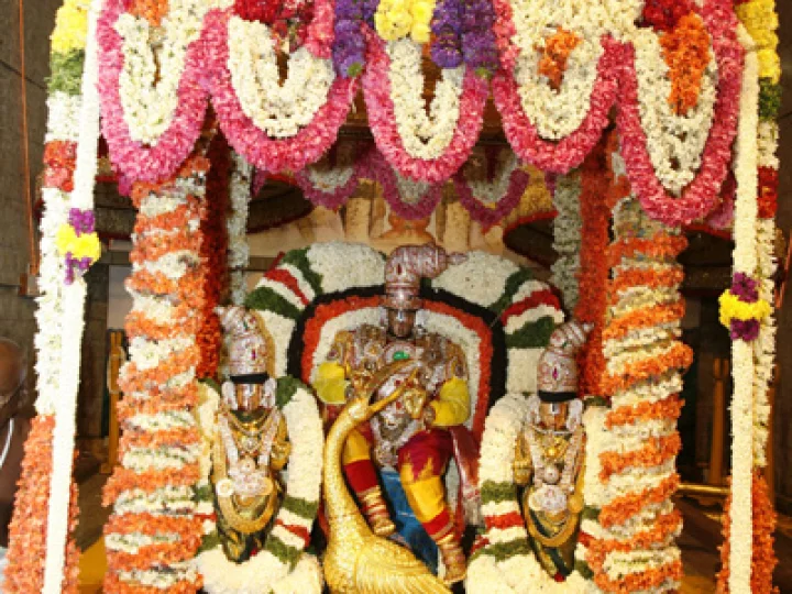 Sarva Bhoopala Vahanam