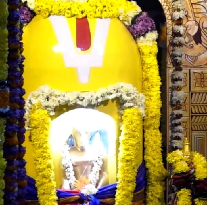 సింహాచలం అప్పన్నకు తితిదే ఈఓ పట్టువస్త్రాల సమర్పణ