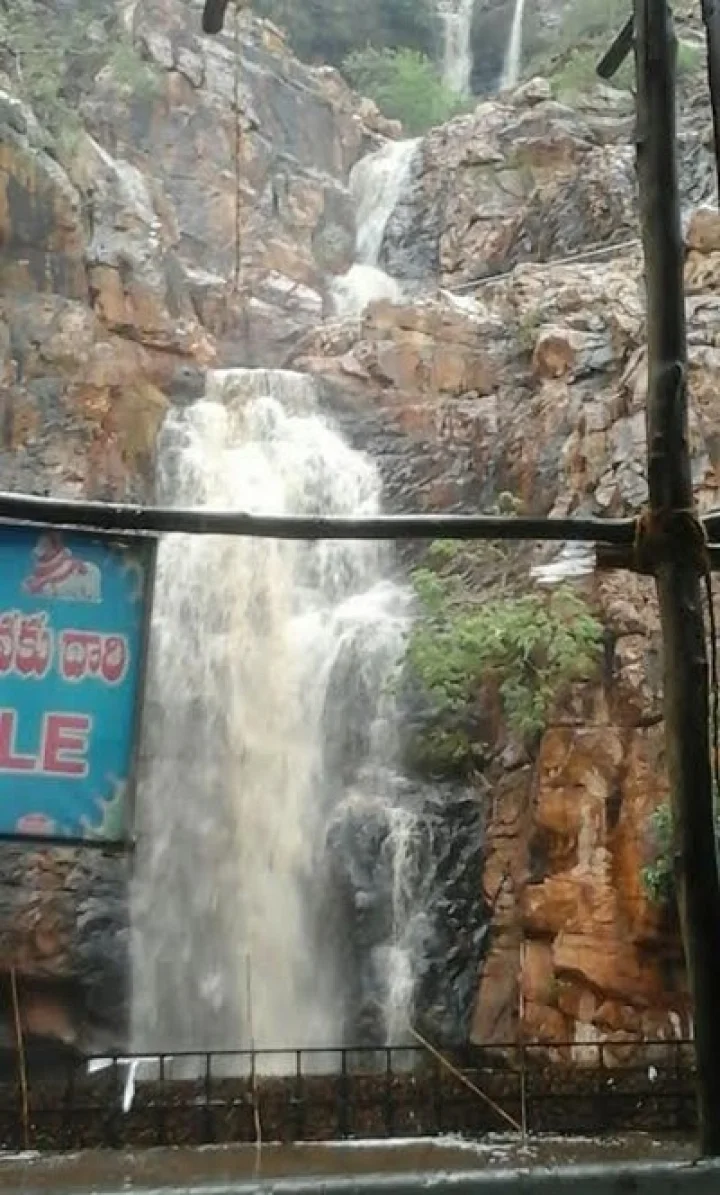 శేషాచలం ప్రకృతి అందాలను చూతము రారండి.....