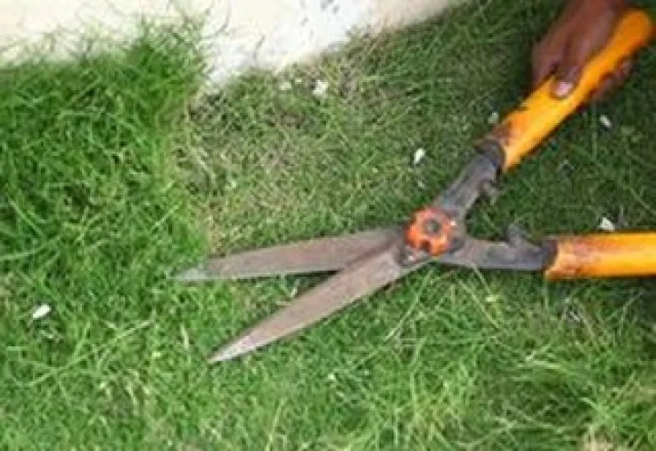 અમદાવાદ