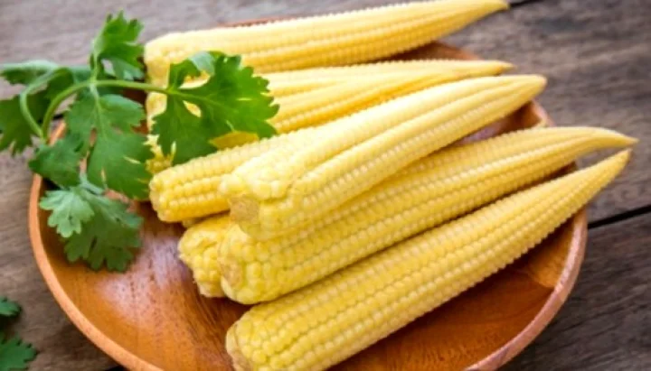 Corn