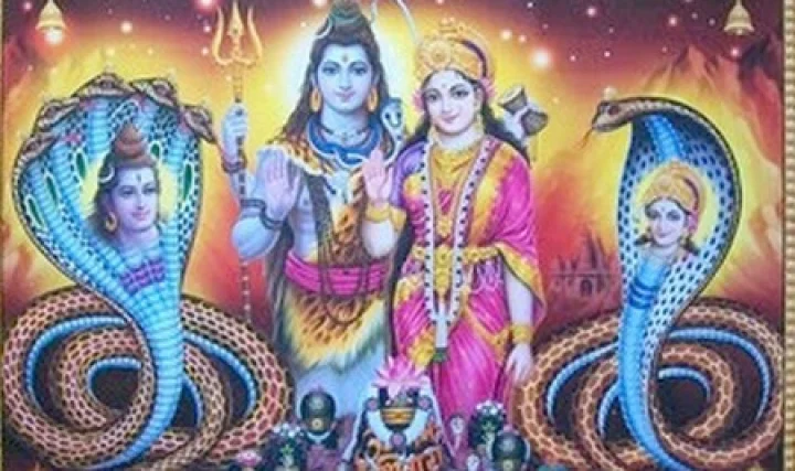 Kalasarpa Dosha types