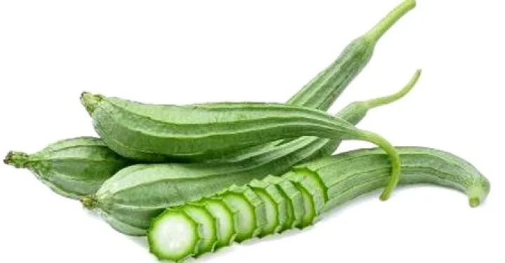 ridge gourd