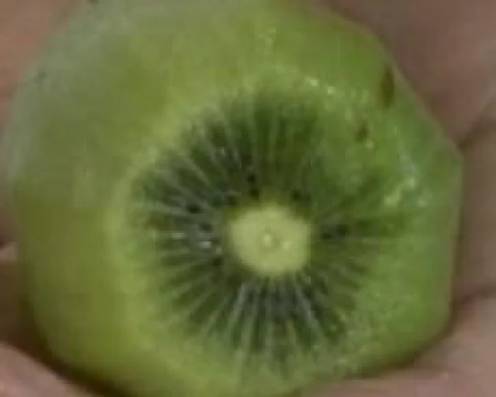 webdunia