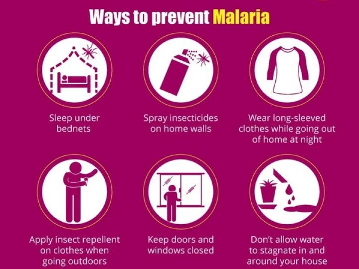 World Malaria Day 2019