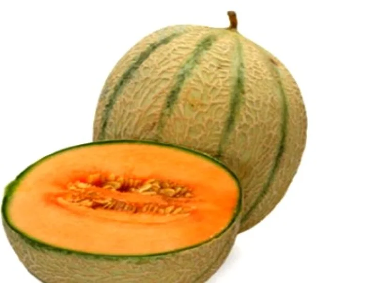 Muskmelon