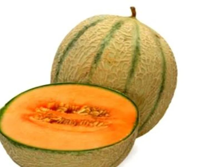 webdunia