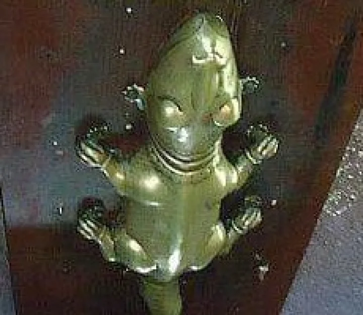 Golden and Silver Lizard