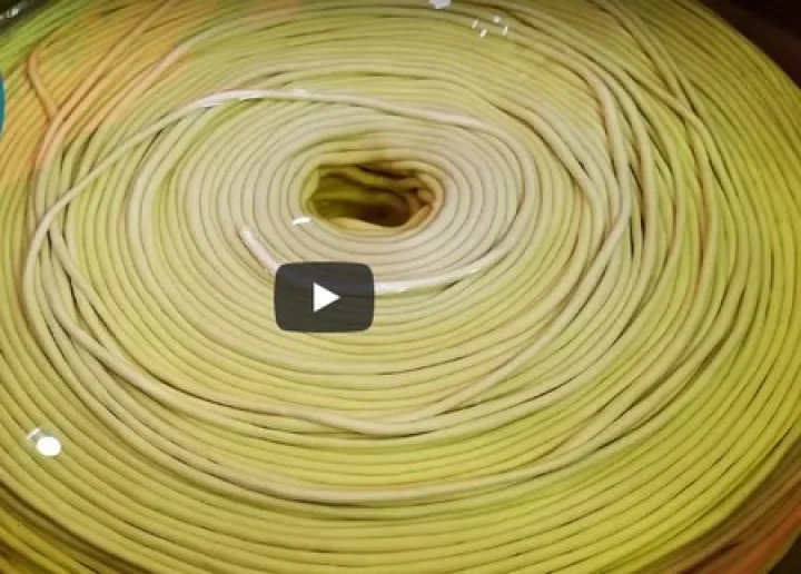 Worlds Longest Noodle