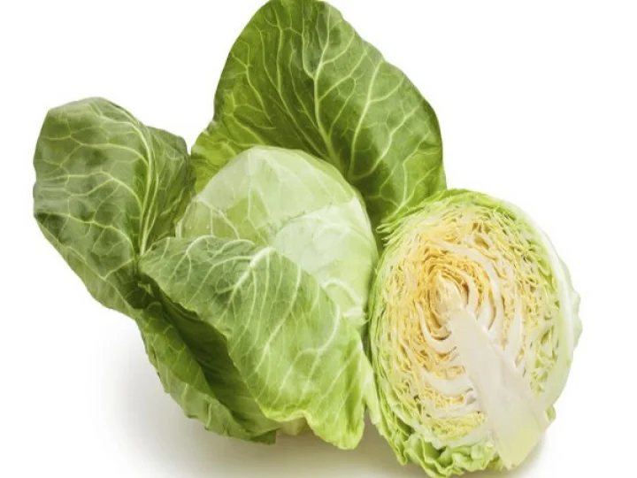 cabbage