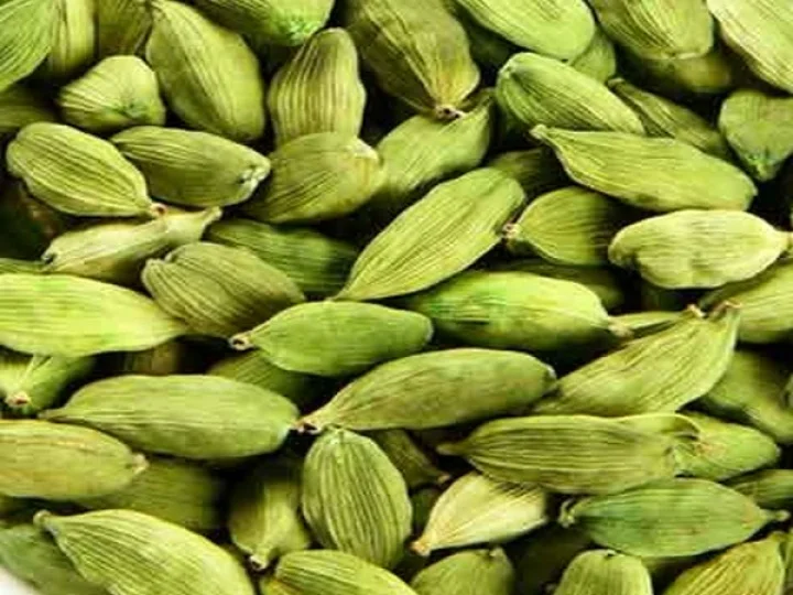 cardamom