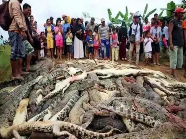 Indonesia