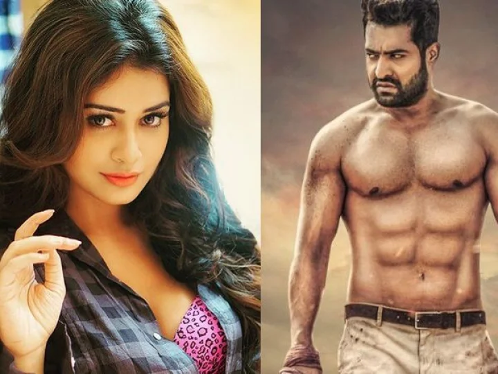 ఎన్టీఆర్‌కి గేలం వేస్తున్న పాయల్ రాజ్... వర్కవుట్ అవుతుందా?(Video)