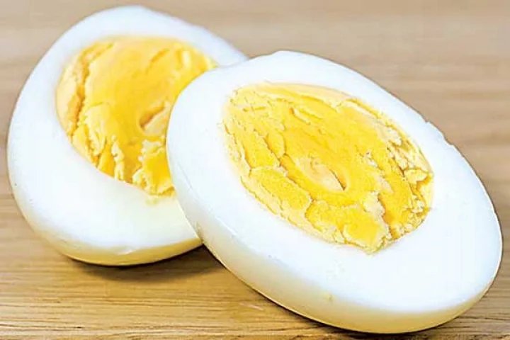Egg
