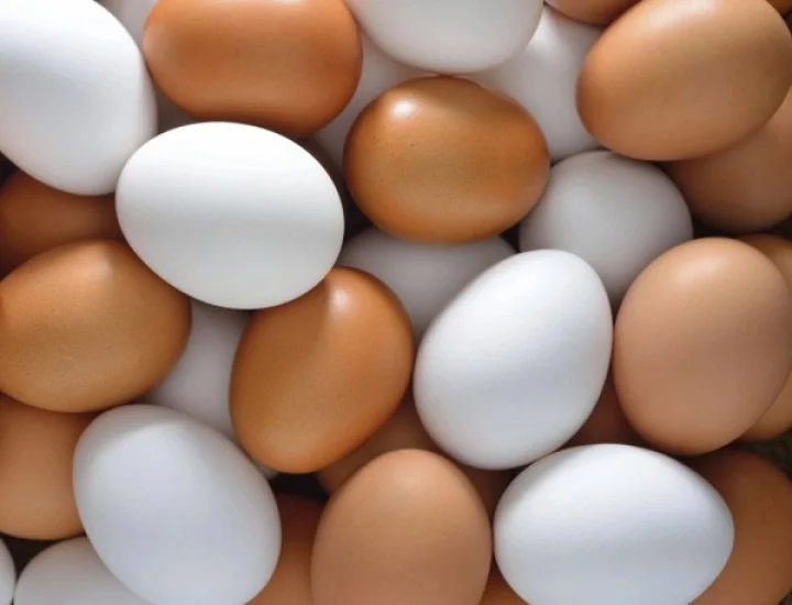 eggs