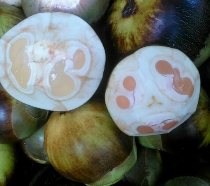 Palmyra Fruit