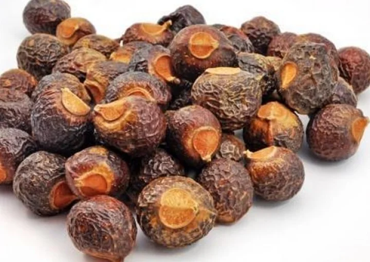 soap nuts
