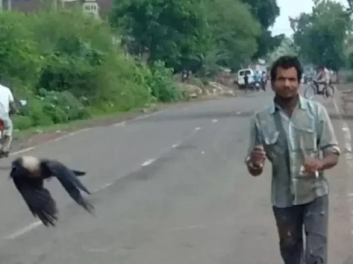Madhya Pradesh